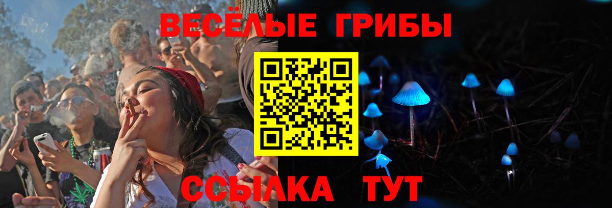 Псилоцибиновые грибы Magic Shrooms  закладка  Вход с VPN  Выборг  Галлюциногенные грибы Psilocybe 